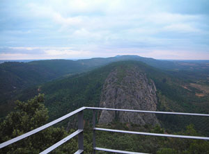 Tapada da Tojeira