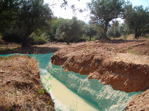 Tapada da Tojeira