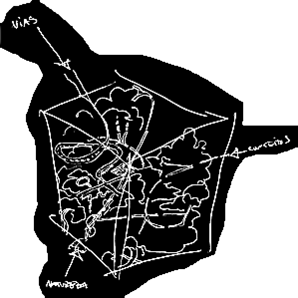 ESTRATÉGIAS DE FUGA