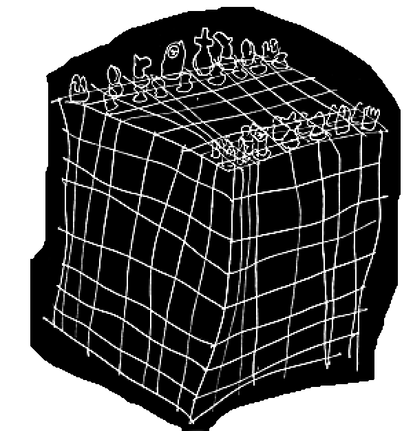 ESTRATÉGIAS DE FUGA